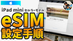 iPad mini（セルラーモデル）のeSIM設定手順